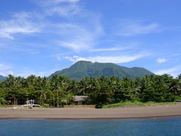 camiguin-action-geckos-beach