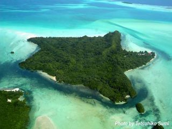 palau-carp-island-shape