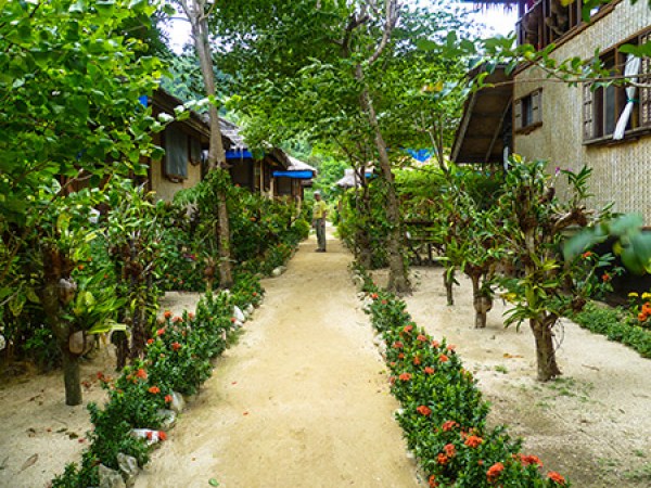 palawan-el-nido-greenviews-path